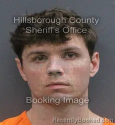 Mugshot of Kyle Andrew Palmer booked in Hillsborough County, Florida on September 2, 2026