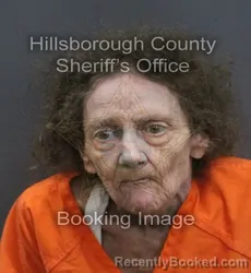 Mugshot of Elaine Adele Elliott booked in Hillsborough County, Florida on September 2, 2026