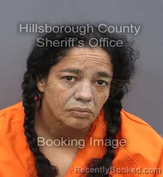 Mugshot of Ana W Ortiz booked in Hillsborough County, Florida on September 2, 2026