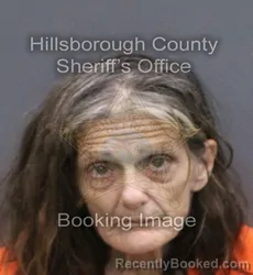 Mugshot of Mary Ann Bianchi booked in Hillsborough County, Florida on September 2, 2026