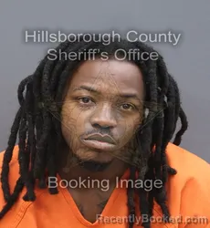 Mugshot of Augustin Romolus Jr Alcee booked in Hillsborough County, Florida on September 2, 2026