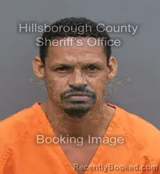 Mugshot of Romario Mota Gomes booked in Hillsborough County, Florida on September 2, 2026