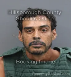Mugshot of Carlos Joshua Olivan booked in Hillsborough County, Florida on September 2, 2026