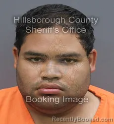 Mugshot of Brandon Lee Diaz booked in Hillsborough County, Florida on September 2, 2026