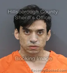 Mugshot of Gilberto Orrego booked in Hillsborough County, Florida on September 2, 2026