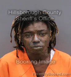 Mugshot of CHAVONTESHA NICOLE JOHNSON