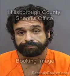 Mugshot of Michael J Salas booked in Hillsborough County, Florida on September 2, 2026