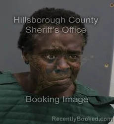 Mugshot of Shaniqua Lequisha Simmons booked in Hillsborough County, Florida on September 2, 2026