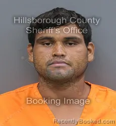 Mugshot of Eric Daniel Castillo booked in Hillsborough County, Florida on September 2, 2026