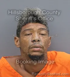 Mugshot of Eric Wilder booked in Hillsborough County, Florida on September 2, 2026
