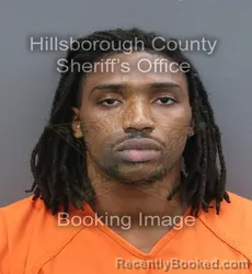 Mugshot of Jair Bhron Johnson booked in Hillsborough County, Florida on September 2, 2026