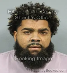 Mugshot of Joseph Joed Benitez Ramos booked in Hillsborough County, Florida on September 2, 2026