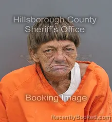 Mugshot of Tabetha Lynn Ward booked in Hillsborough County, Florida on September 2, 2026