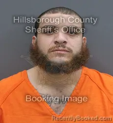 Mugshot of Brandon John Murphy booked in Hillsborough County, Florida on September 2, 2026
