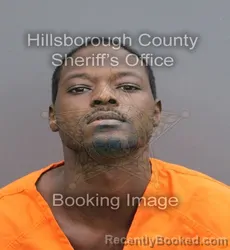 Mugshot of Andy Pierre booked in Hillsborough County, Florida on September 2, 2026