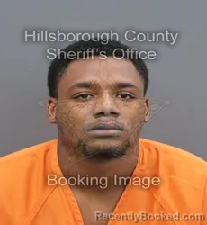 Mugshot of Sedron Palmer booked in Hillsborough County, Florida on September 2, 2026