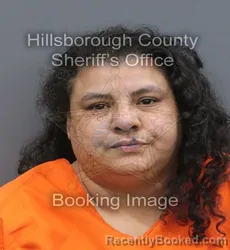 Mugshot of Caroline Britgen Enchautequis booked in Hillsborough County, Florida on September 2, 2026