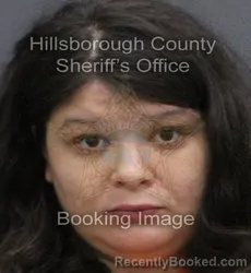 Mugshot of Gabriella Oceana Kraemer booked in Hillsborough County, Florida on September 2, 2026