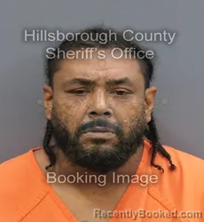 Mugshot of Cymone A Mcconnell booked in Hillsborough County, Florida on September 2, 2026