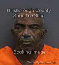 Mugshot of Ricky Rene Anderson booked in Hillsborough County, Florida on September 2, 2026