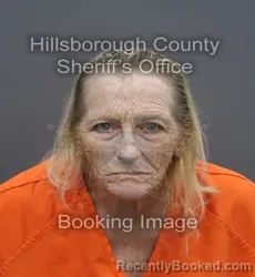 Mugshot of Darlene Leslie Ortiz booked in Hillsborough County, Florida on September 2, 2026