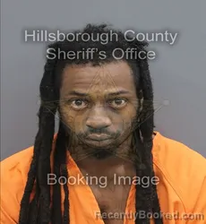 Mugshot of David Allen Bostick booked in Hillsborough County, Florida on September 2, 2026