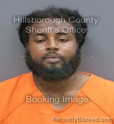 Mugshot of Mathaus Ricardo Gaston booked in Hillsborough County, Florida on September 2, 2026
