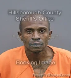 Mugshot of Desmond Antwan Sheppard booked in Hillsborough County, Florida on September 2, 2026