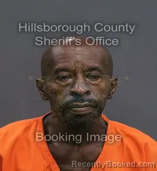 Mugshot of James Alfred Denson booked in Hillsborough County, Florida on September 2, 2026