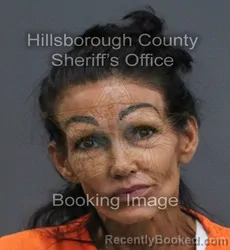 Mugshot of Shari Elizabeth Gilliam booked in Hillsborough County, Florida on September 2, 2026