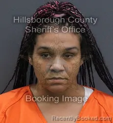 Mugshot of Dominique Andria Conklin booked in Hillsborough County, Florida on September 2, 2026