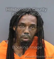 Mugshot of Christopher David Phelps booked in Hillsborough County, Florida on September 3, 2026