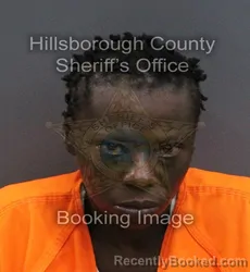 Mugshot of Kedra Makiesha Walker booked in Hillsborough County, Florida on September 3, 2026