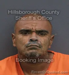 Mugshot of Francisco Lopez booked in Hillsborough County, Florida on September 3, 2026