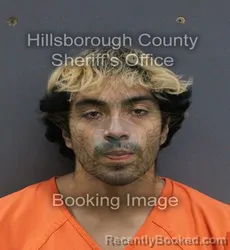 Mugshot of Emanuel Montes Gaona booked in Hillsborough County, Florida on September 3, 2026