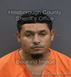 Mugshot of Nestor Agustin Torres booked in Hillsborough County, Florida on September 3, 2026