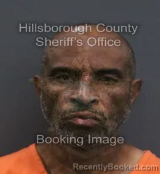 Mugshot of Larry Ruffin booked in Hillsborough County, Florida on September 3, 2026