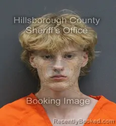 Mugshot of Gavin Charles Parker booked in Hillsborough County, Florida on September 3, 2026