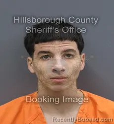 Mugshot of Ayub Muhammed Hekmat Ibrahim booked in Hillsborough County, Florida on September 3, 2026