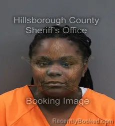 Mugshot of Kalvanesha Leonna Jones booked in Hillsborough County, Florida on September 3, 2026