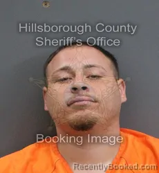 Mugshot of Christopher Gonzalez booked in Hillsborough County, Florida on September 3, 2026
