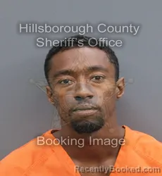 Mugshot of Harold Augustus Adderley booked in Hillsborough County, Florida on September 3, 2026