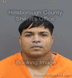 Mugshot of Dismany Rafael Ortiz Lugones booked in Hillsborough County, Florida on September 3, 2026