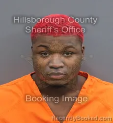 Mugshot of De Andra Jr Gant booked in Hillsborough County, Florida on September 3, 2026