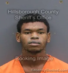 Mugshot of Zeon Dorje' Newton booked in Hillsborough County, Florida on September 3, 2026