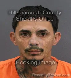 Mugshot of Jan Abdier Pereira Gonzalez booked in Hillsborough County, Florida on September 3, 2026