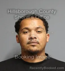 Mugshot of Ian James Olen Dean Mcdowell booked in Hillsborough County, Florida on September 3, 2026