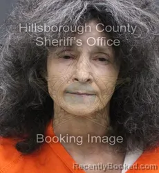 Mugshot of Rhonda Keegan booked in Hillsborough County, Florida on September 3, 2026