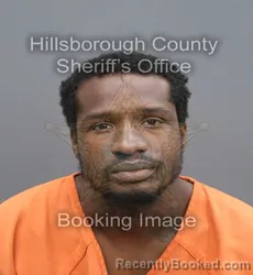 Mugshot of Corwin R Ester booked in Hillsborough County, Florida on September 3, 2026