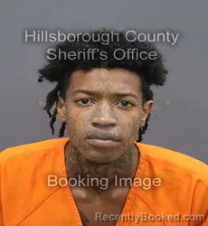 Mugshot of Anias Cameron Kindred booked in Hillsborough County, Florida on September 3, 2026